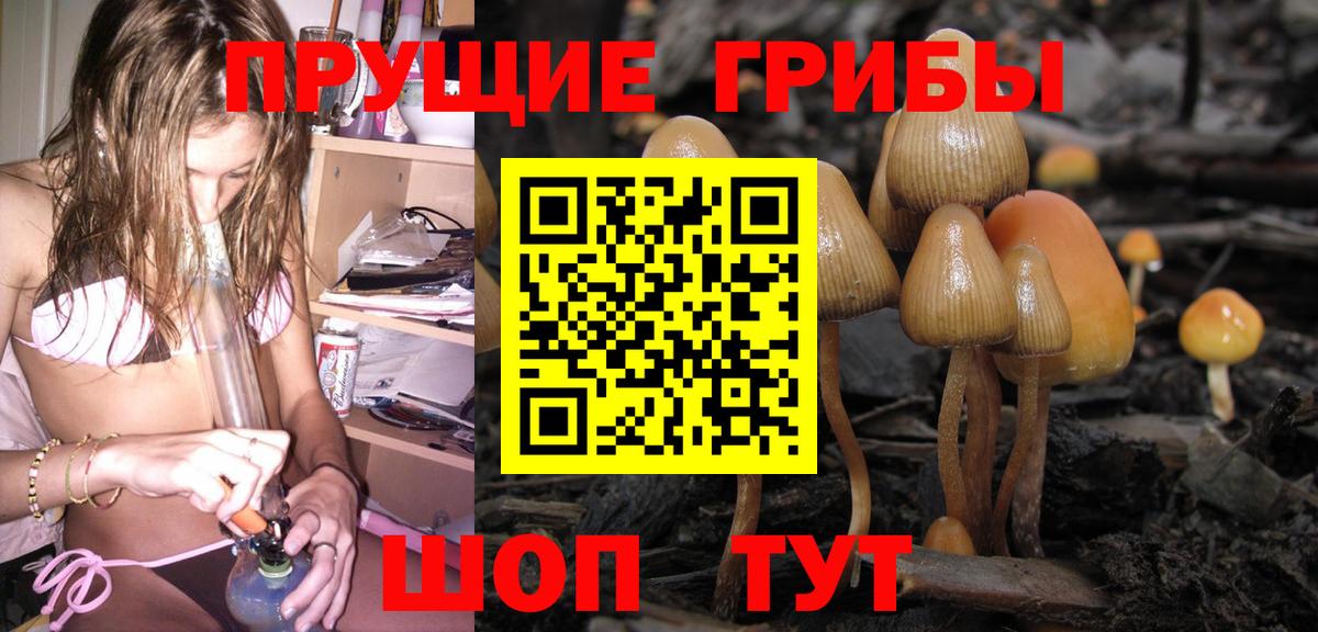 Галлюциногенные грибы мицелий  Вход с VPN  Вологда  Псилоцибиновые грибы Magic Shrooms 